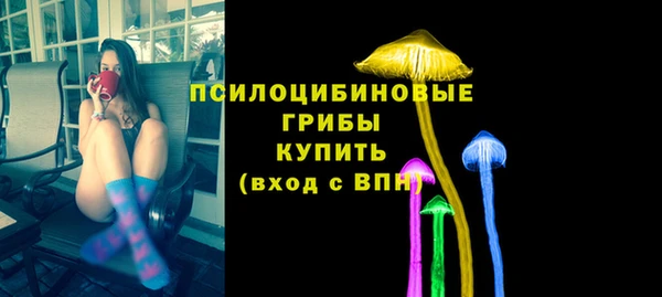 эйфоретик Дмитров