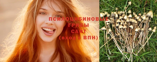 эйфоретик Дмитровск