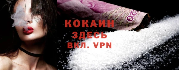 не бодяженный Дмитриев