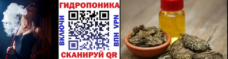 Конопля сатива Певек